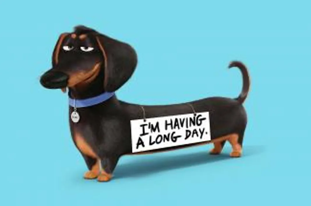 10 Stealth Facts About ‘The Secret Life of Pets’