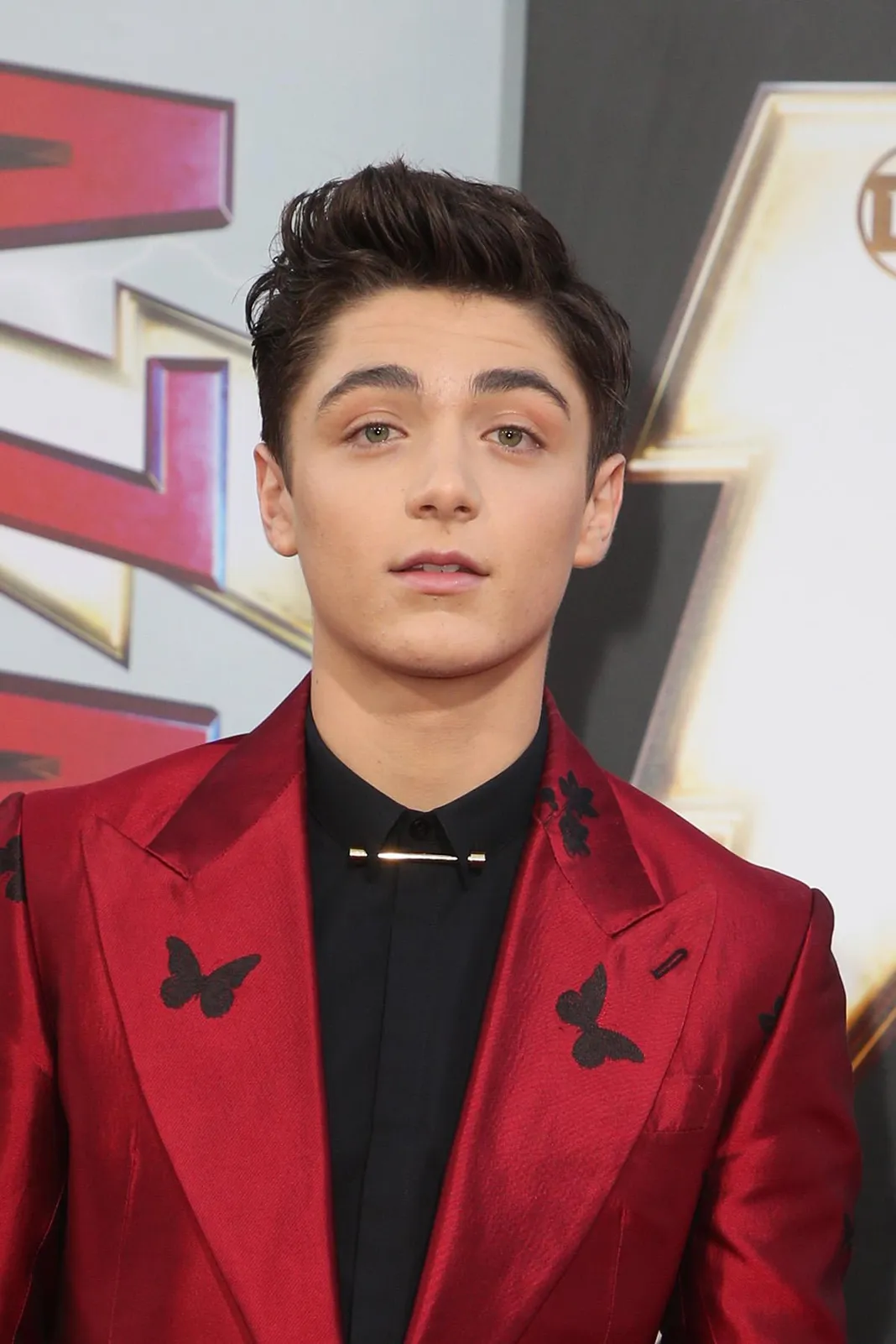 Warner Bros. Pictures And New Line Cinema's World Premiere Of "SHAZAM!" Featuring: Asher Angel Where: Hollywood, California, United States When: 28 Mar 2019 Credit: FayesVision/WENN.com