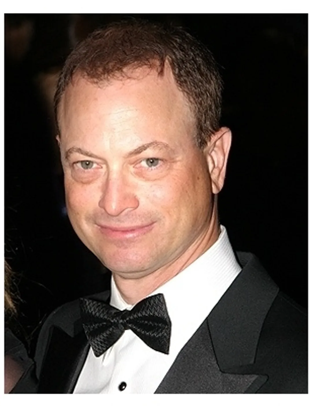 hollywood celebrities republican republican celebrities hollywood celebrities republican republican celebrities