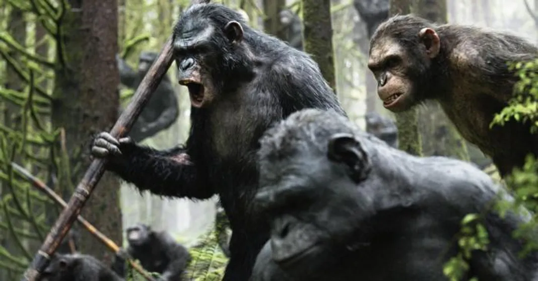 Dawn of the Planet of the Apes Dawn of the Planet of the Apes