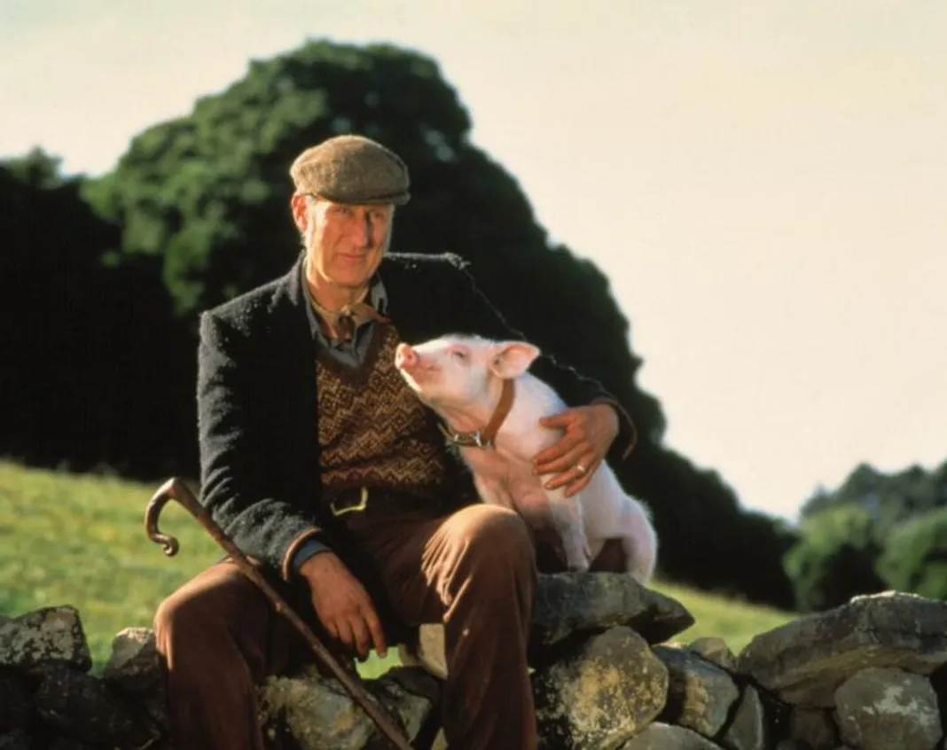 The 20 Best Last Lines In Movies
