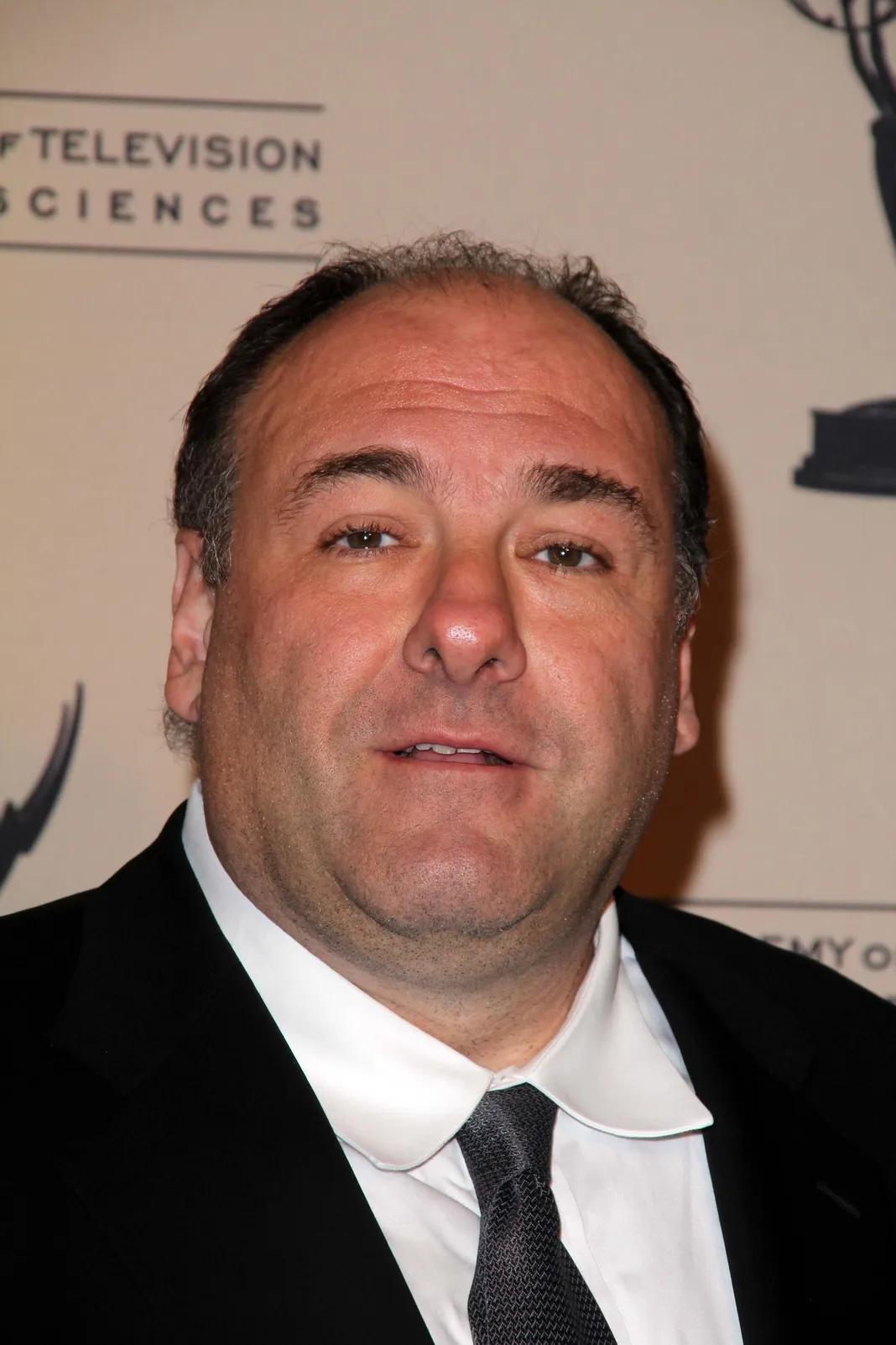 james gandolfini james gandolfini