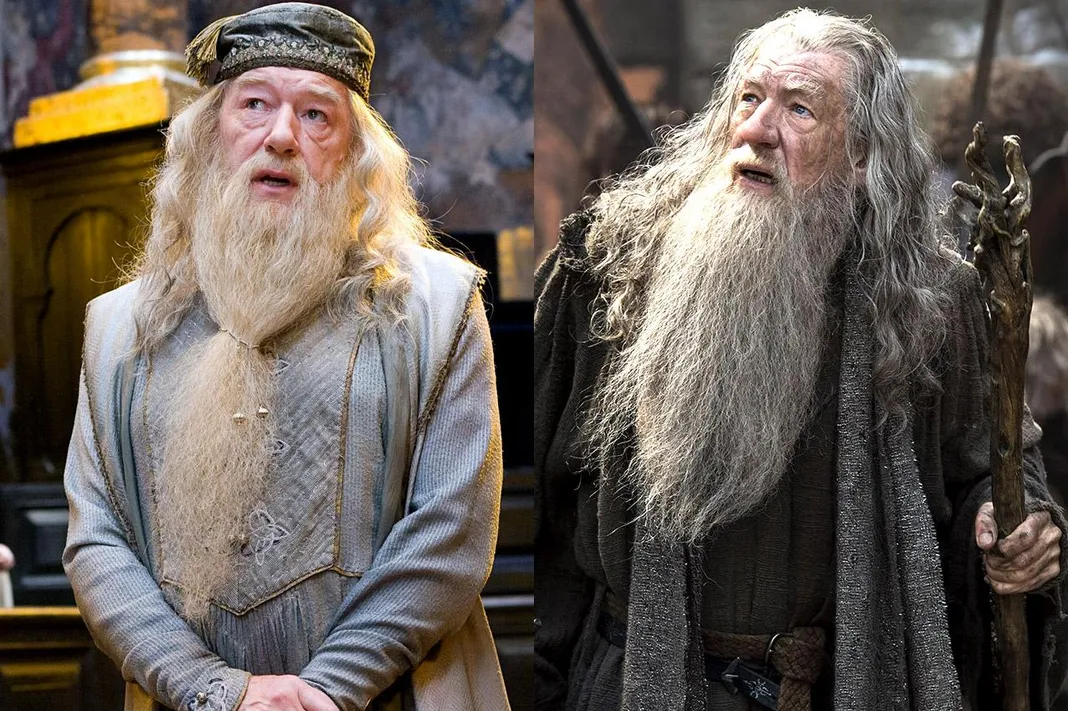 10 Reasons Dumbledore And Gandalf Would Be A Terrible Couple