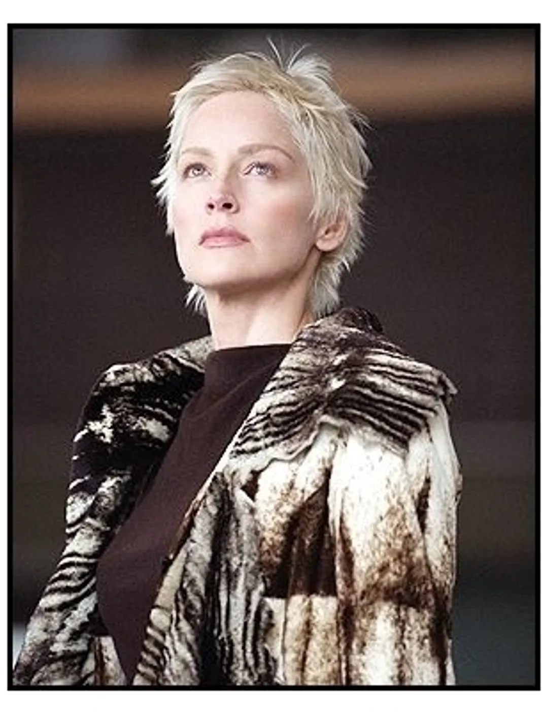 'Catwoman' Movie Still: Sharon Stone "Catwoman" Movie Still: Sharon Stone