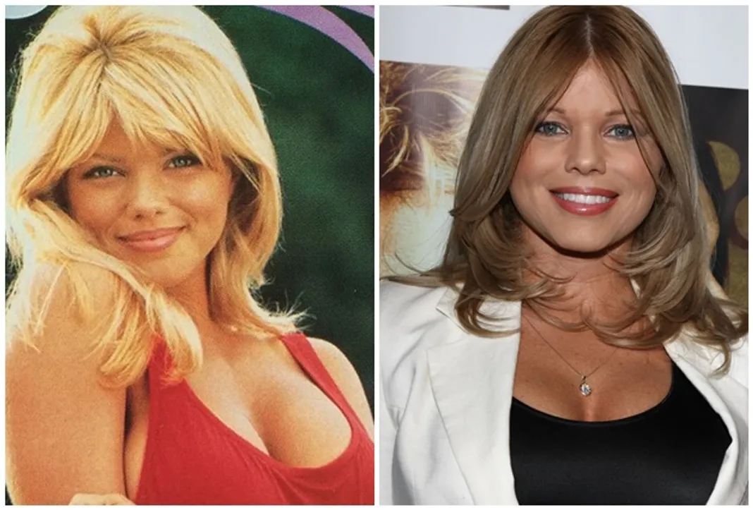 Donna D'errico, then and now, baywatch