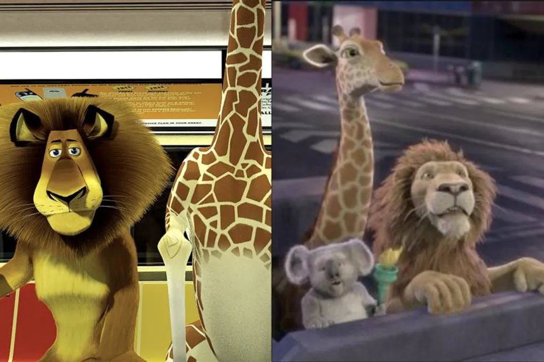 Madagascar / The Wild


