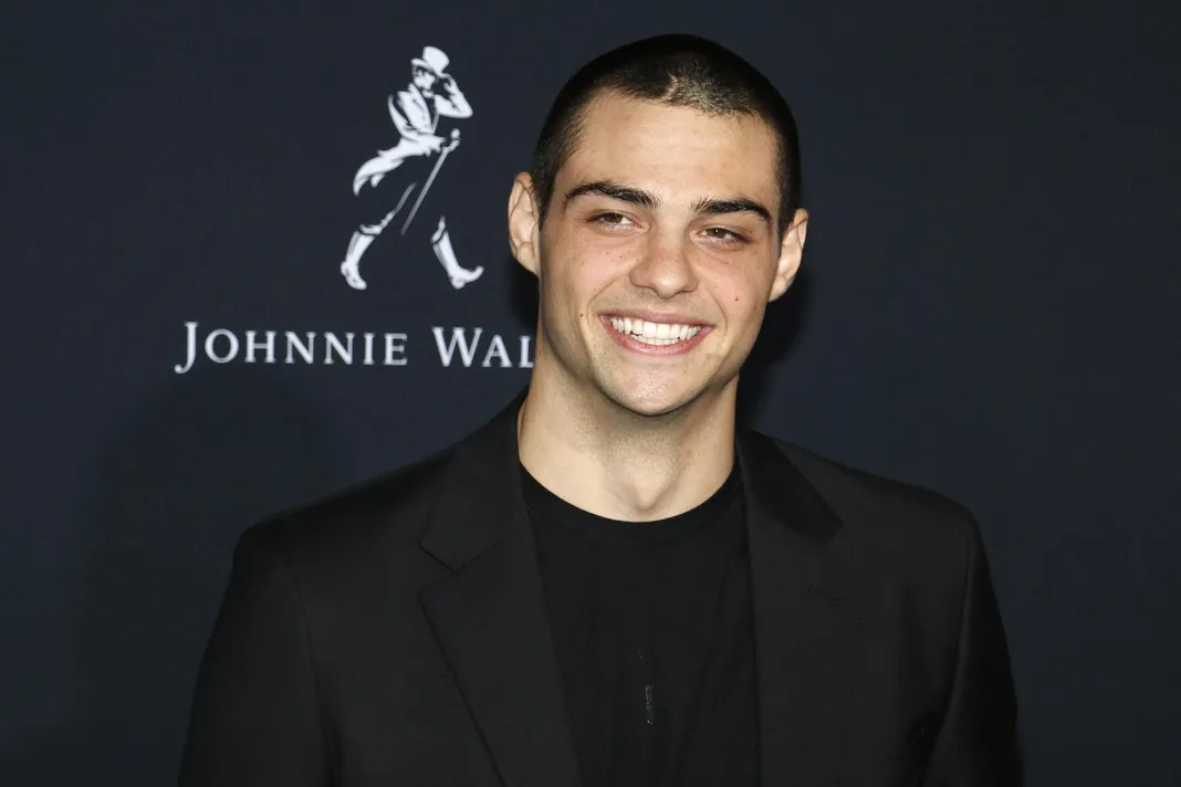 Noah Centineo, Hollywood's (& everyone's) dream boyfriend - Vimarsana News